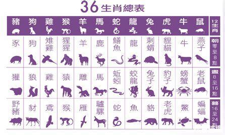 36生肖圖